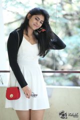 Palak Lalwani at Abbayitho Ammayi Movie Success Meet